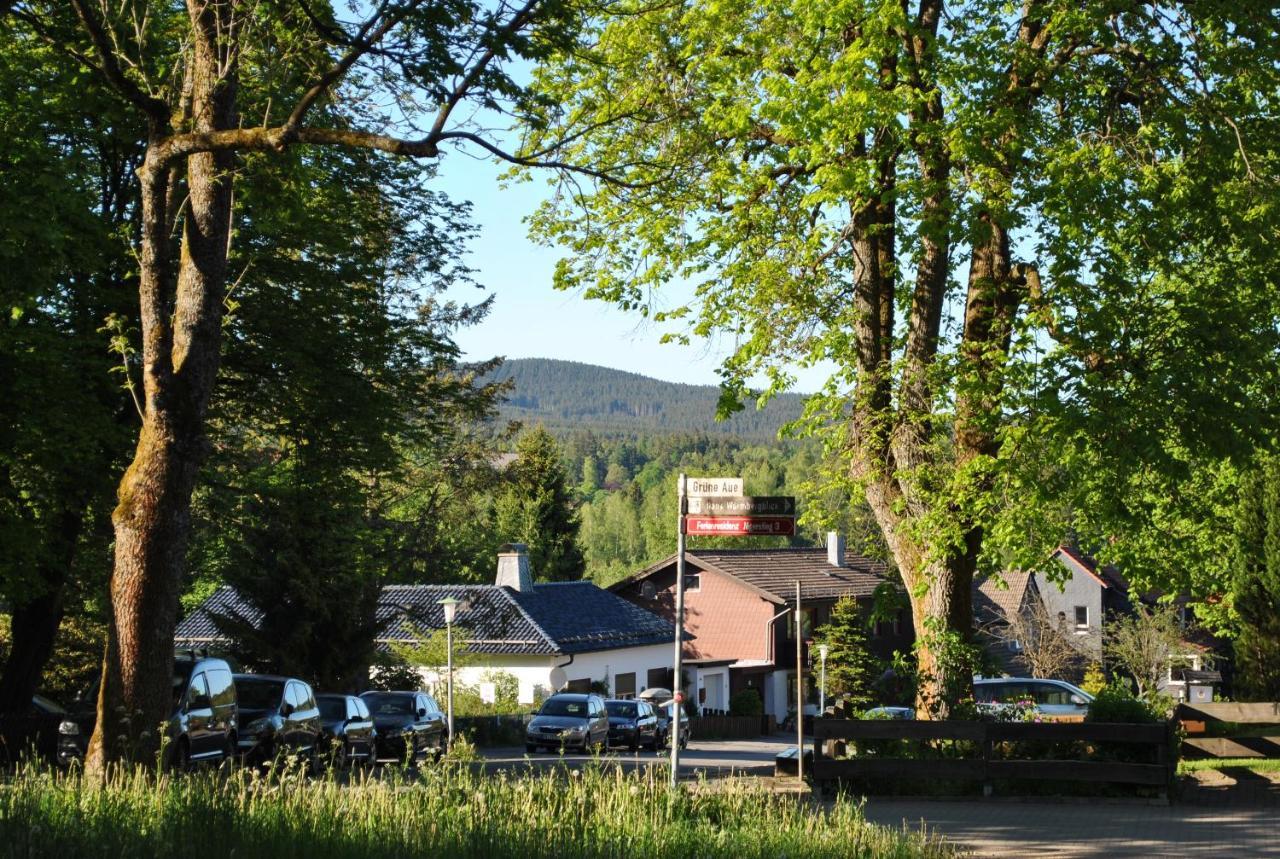 Harz-Rose Apartment Braunlage Exterior foto