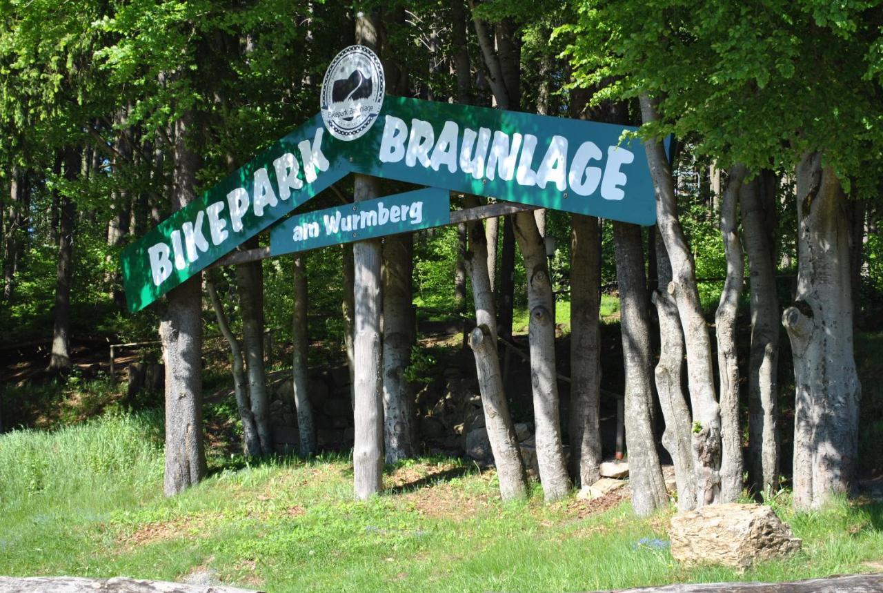 Harz-Rose Apartment Braunlage Exterior foto