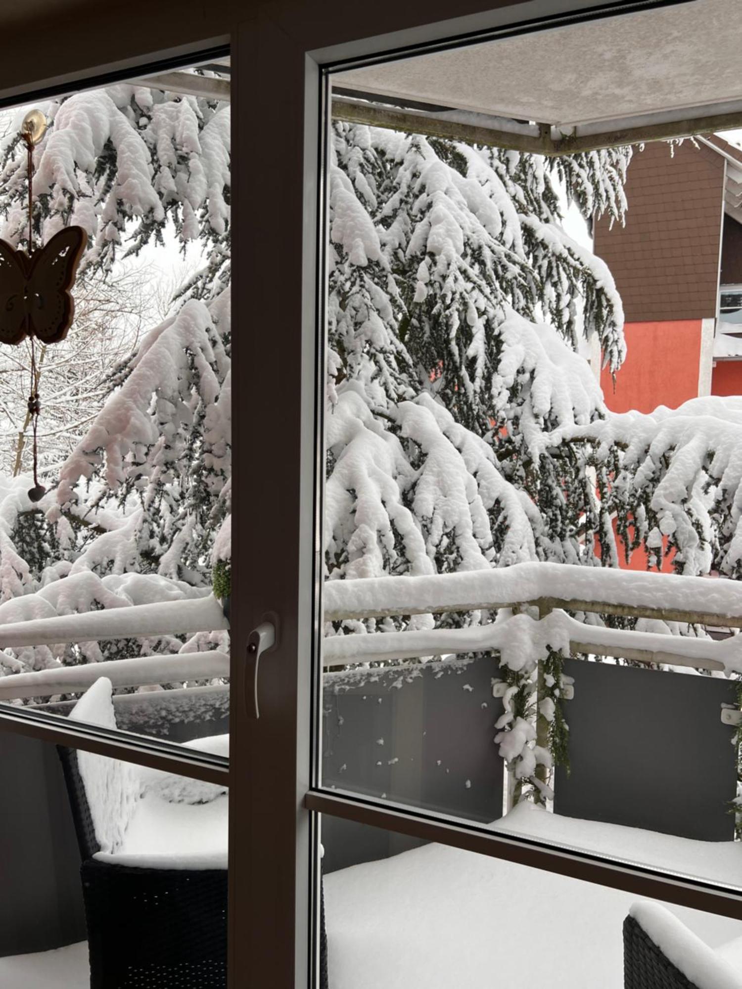 Harz-Rose Apartment Braunlage Exterior foto